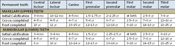 Permanent Tooth Calcification Chart